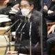 邦人保護、安保戦略改定で議論 画像