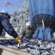 サンマ水揚げ量、10年前の1割 画像