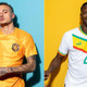 W杯2日目！セネガルvsオランダ注目選手の愛すべき秘話まとめ 画像
