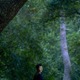 宮沢りえ、実際の殺傷事件描く映画「月」で主演 オダギリジョー・磯村勇斗・二階堂ふみらも出演 画像