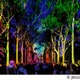 豪パースで新ナイトフェス「EverNow（エバーナウ）」光・音楽・ダンスなどが彩る幻想的な世界 画像