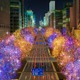 「大阪・光の饗宴2023」開幕、御堂筋がイルミの優しいきらめきに包まれる約4の光の道 画像