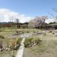 栃木「那須千本松牧場」“自然・食・ふれあい”楽しめる拠点に、リブランディングで魅力増進 画像