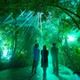 京都府立植物園の幻想的なアートイベント 「LIGHT CYCLES KYOTO」バージョンアップして復活！5月24日開演 画像