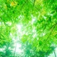 【中学受験】今週末行ける中高一貫「学校説明会」など17校（5/24-25）…東京・千葉・神奈川・埼玉 画像