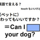 英語でどう言う？「(ペットに)さわってもいいですか？」 画像