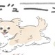 ドッグラン大好きむっく…他の犬にあいさつを…その後に待つことは?!【うちのむっくはいつも楽しそう #４】 画像