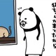 ベランダに猫ちゃん発見。愛犬・梅吉に見せてあげると、お互い同じ反応…【パンダと犬 ＃34】 画像