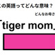 この英語ってどんな意味？「tiger mom」 画像