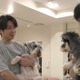 SUPER EIGHT横山裕、“親友”嵐・相葉雅紀とトリミング 息ぴったりの掛け合い見せる 画像
