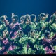 櫻坂46「自業自得」からの期別ダンストラックに反響相次ぐ「鳥肌立った」「違う良さがあって目を奪われた」【5th TOUR 2025】 画像