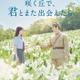 「DMM TV」8・9月ラインナップ公開 劇場版「ヒロアカ」「あの花が咲く丘で、君とまた出会えたら」「大脱出3」ほか 画像