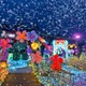 伊豆ぐらんぱる公園で体験型イルミネーション、11月7日から “龍の大冒険”コンセプトに新たな演出 画像