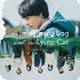 高杉真宙主演『架空の犬と嘘をつく猫』タリン・ブラックナイト映画祭公式コンペ部門選出 画像