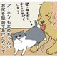 わが家に加わった生後10日くらいの仔猫は女の子。愛犬もせっせと子育てのお手伝い【おさんぽですし！　おしゃべり犬とイライラ猫の日記 #19】 画像