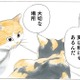「もう寒い季節は終わったよ」という知らせが…咲き誇る桜を見て２匹の猫が感じたことは？【続 ミケちゃんとやすらぎさん #５】 画像