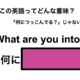 この英語ってどんな意味？「What are you into?」 画像