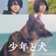 Prime Video4月新着コンテンツ発表「少年と犬」「お嬢と番犬くん」「北斗の拳」ほか 画像