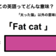 この英語ってどんな意味？「Fat cat」 画像