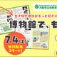 【自由研究2026】植物・貝がら・昆虫の標本づくり冊子を無料配布…大阪市立自然史博物館 画像