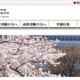 広尾学園、海外大学進学者に奨学金…4年間で1,000万円 画像