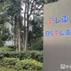 テレビ東京、村上虹郎出演回の見送り受け対応発表 第2話を繰り上げ初回放送へ【ストレンジ】 画像