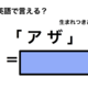 英語で「アザ」は何て言う？ 画像