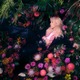 Aile The Shota、新曲「ONGAKU」リリース決定 KATSEYE・MAZZELなどの楽曲手掛ける音楽プロデューサーと制作 画像