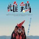 主演・ニワトリ！ CG＆AIほぼなし撮影でニワトリから見た人間社会描く『雌鶏』9月25日公開 画像