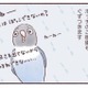天気の悪い日はインコもご機嫌ななめ…。いつもと違う姿とは？【うちのインコたちは今日もおしゃべり #３】 画像
