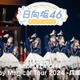 日向坂46「Happy Magical Tour 2024 -兵庫公演-」Leminoで独占配信【セットリスト】 画像