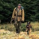 ブラッド・ピット演じる退役軍人と義足の愛犬、互いを支え合う固い絆…『ハート・オブ・ビースト』予告編 画像