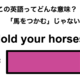 この英語ってどんな意味？「Hold your horses.」 画像