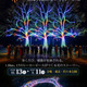 代々木公園を五感で歩く体験型イルミネーション「ACN presents 代々木フォレスト・オブ・ライツ ～光の森～」11月13日から開催 画像
