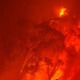 欧州も異常気象…サッカーチーム、最悪の山火事被災者に試合収益を全て寄付 画像