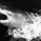 21歳のサッカー選手、サメに食い殺される 画像