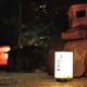 神楽坂の人気鮨店は「バーのような仄暗さが逆に落ち着く」と大人たちの間で話題！ 画像