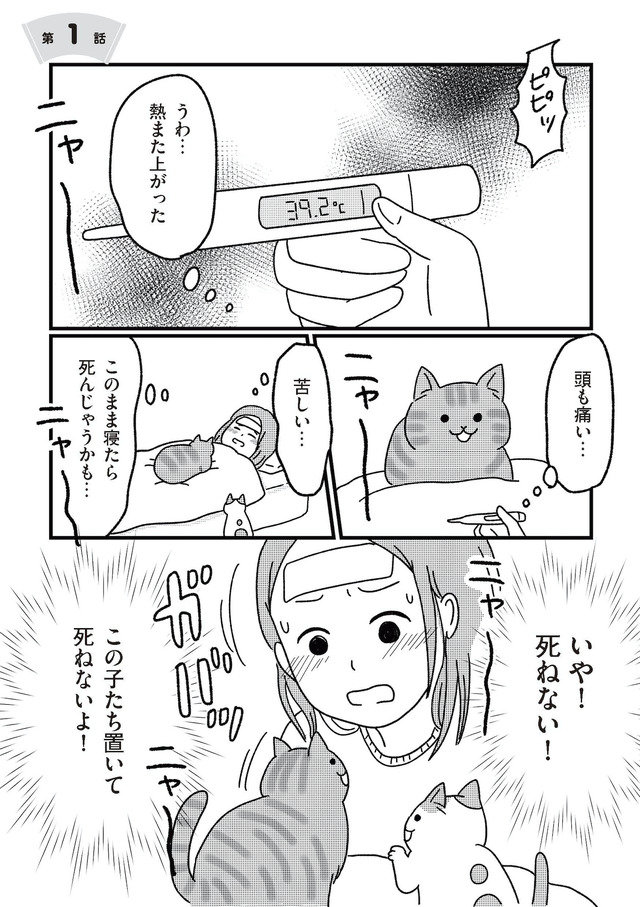 ねこ婚 猫のための交際ゼロ日婚