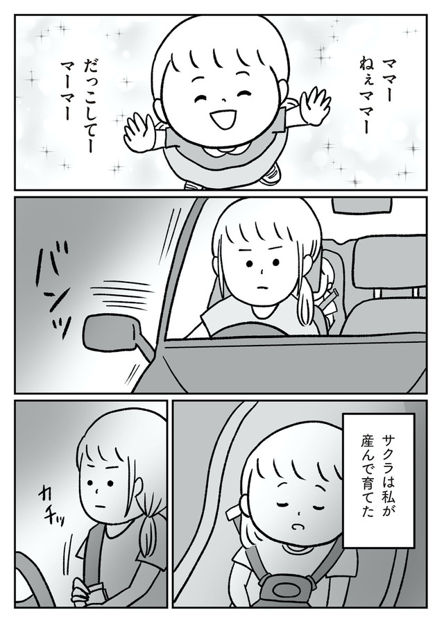 うちの子、誰の子? もしもわが子が取り違え子だったら