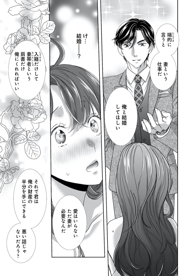 オペラ座のシンデレラ～王子様は極上御曹司～