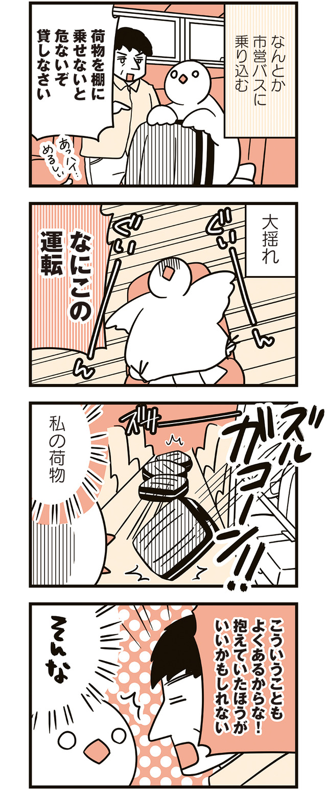 フランスはとにっき: 海外に住むって決めたら漫画家デビュー