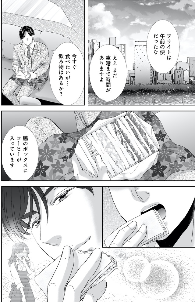 オペラ座のシンデレラ~王子様は極上御曹司~