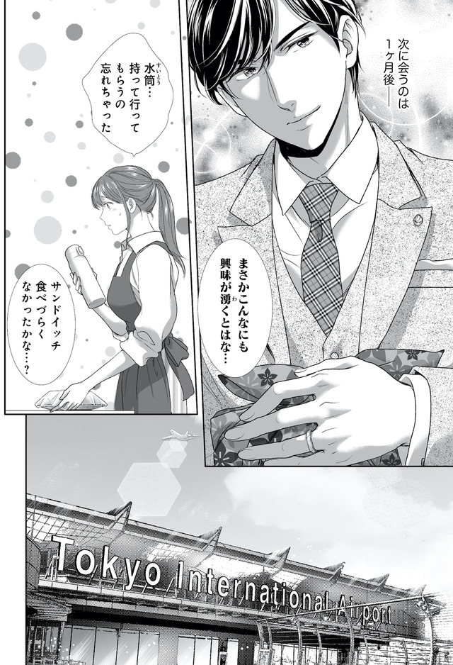 オペラ座のシンデレラ~王子様は極上御曹司~
