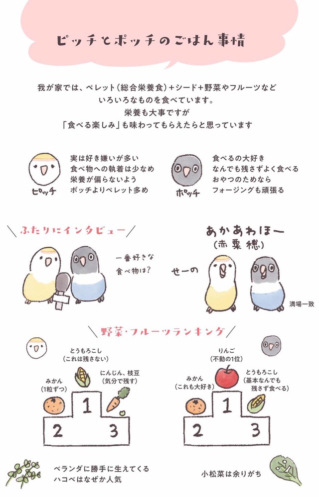 うちのインコたちは今日もおしゃべり