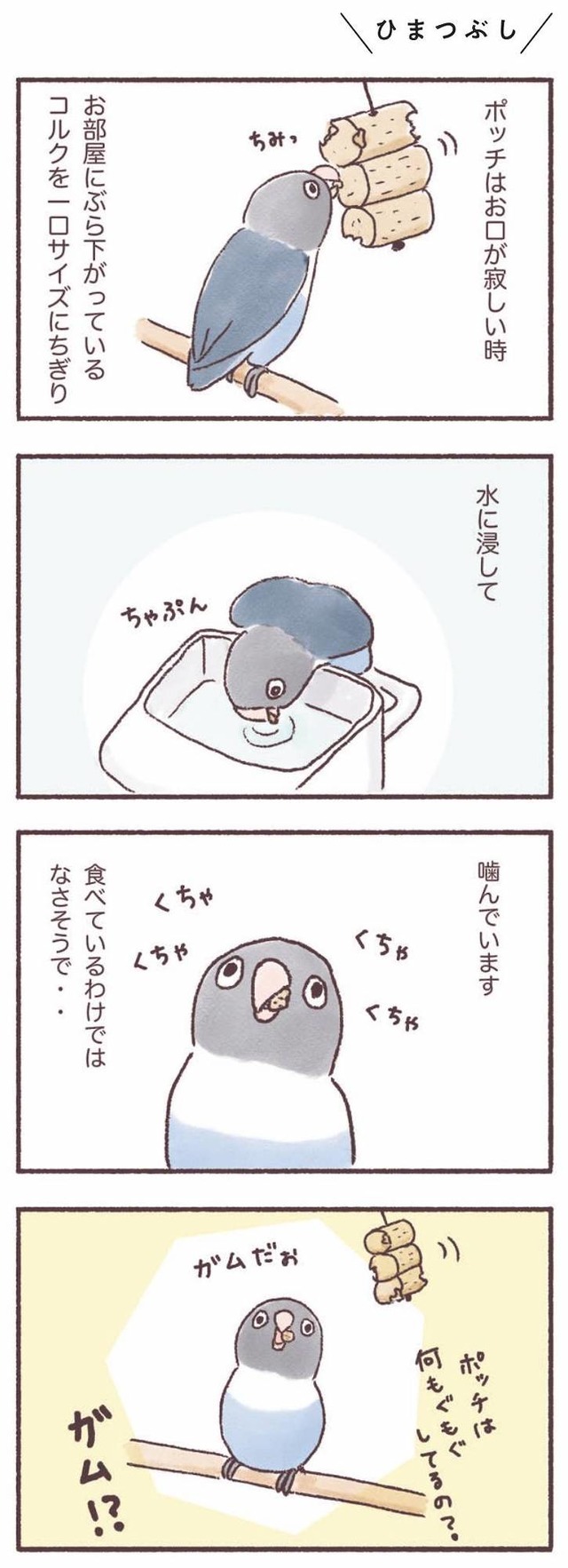 うちのインコたちは今日もおしゃべり