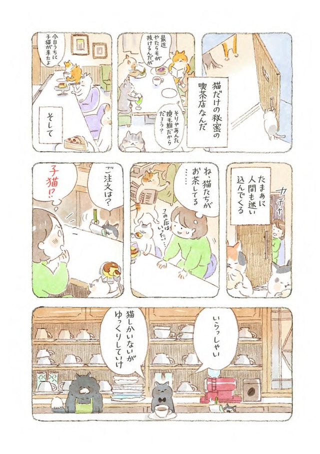 深夜3時のくろねこ喫茶