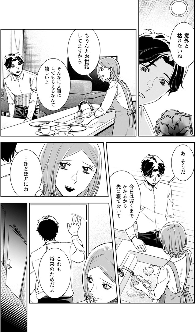 その代用品は復讐する~妻を騙した夫の誤算~