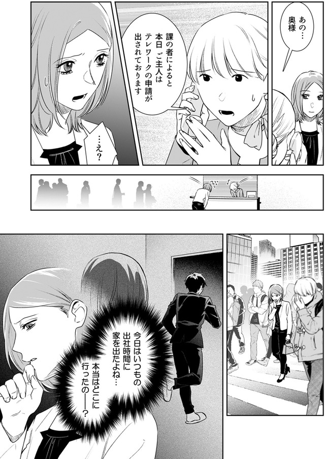 その代用品は復讐する~妻を騙した夫の誤算~