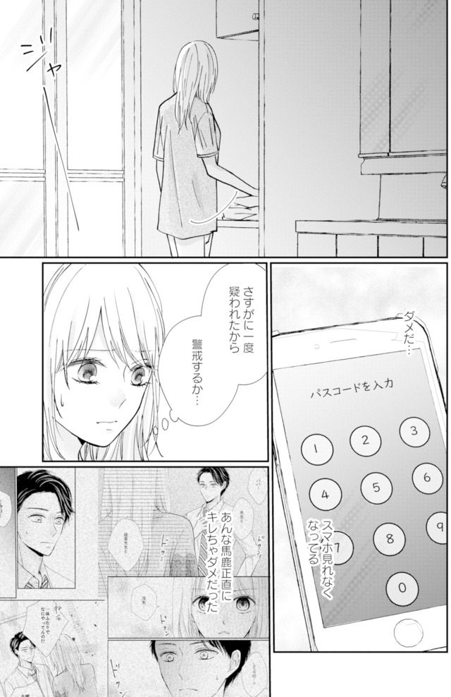 サレ妻の事情