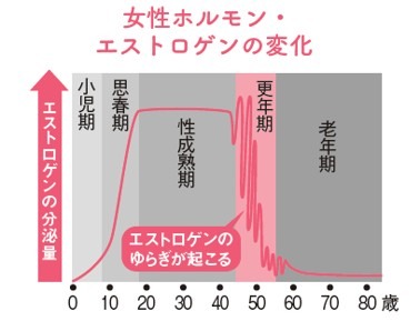 女性ホルモン・エストロゲンの年代別変化